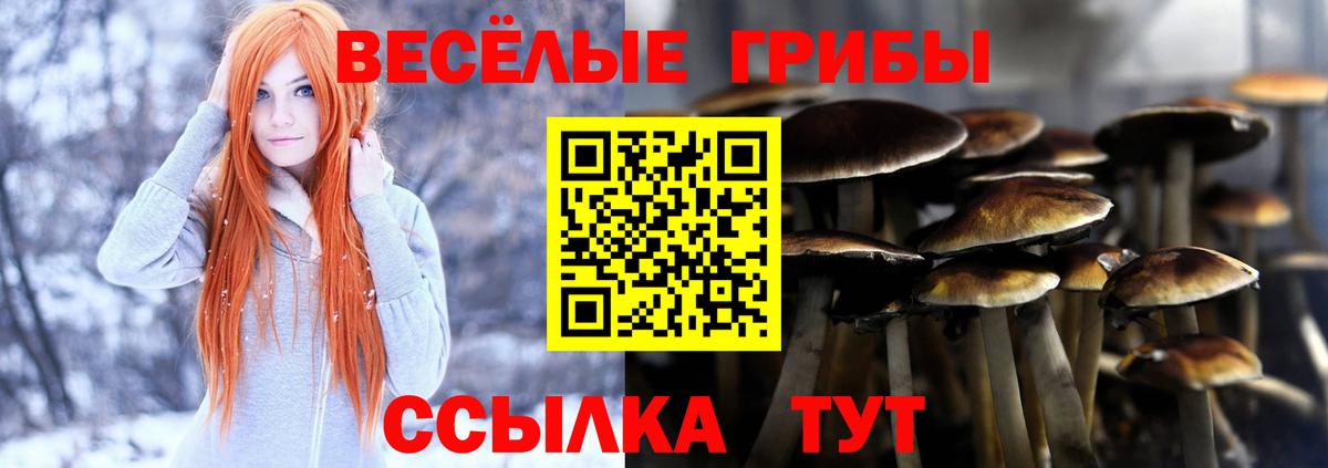 Псилоцибиновые грибы MAGIC MUSHROOMS  Вход с VPN  Грозный  Галлюциногенные грибы Psilocybine cubensis 
