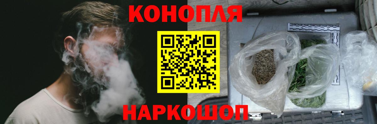 Конопля сатива Грозный